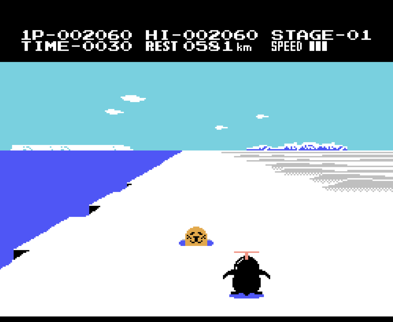 Antarctic Adventure