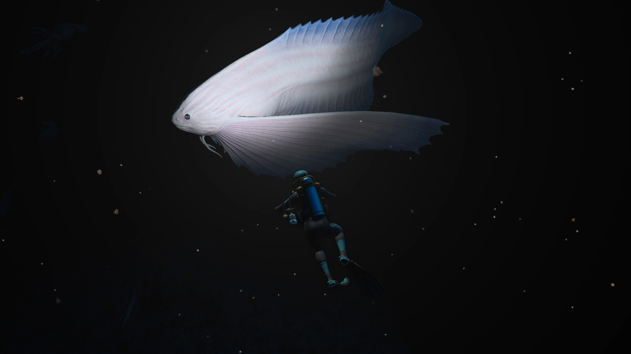 Screen du jeu, notre personne en combinaison de plongée est dans l'obscurité totale, éclairant un gros poisson blanc fantaisiste.
